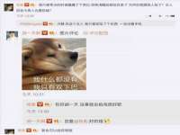 合肥市包河区东木临电子商务工作室