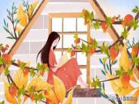 合肥市包河区东木临电子商务工作室