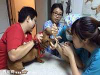 合肥市包河区东木临电子商务工作室