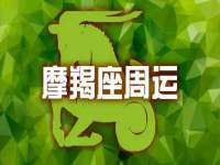 合肥市包河区东木临电子商务工作室