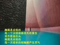 合肥市包河区东木临电子商务工作室