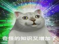 合肥市包河区东木临电子商务工作室