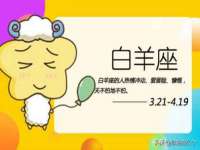 合肥市包河区东木临电子商务工作室