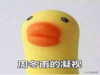 合肥市包河区东木临电子商务工作室