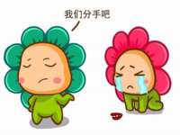 合肥市包河区东木临电子商务工作室