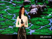 合肥市包河区东木临电子商务工作室