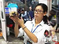 合肥市包河区东木临电子商务工作室