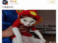 合肥市包河区东木临电子商务工作室