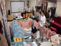 合肥市包河区东木临电子商务工作室