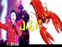 合肥市包河区东木临电子商务工作室