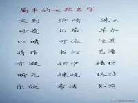 合肥市包河区东木临电子商务工作室