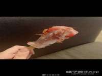 合肥市包河区东木临电子商务工作室